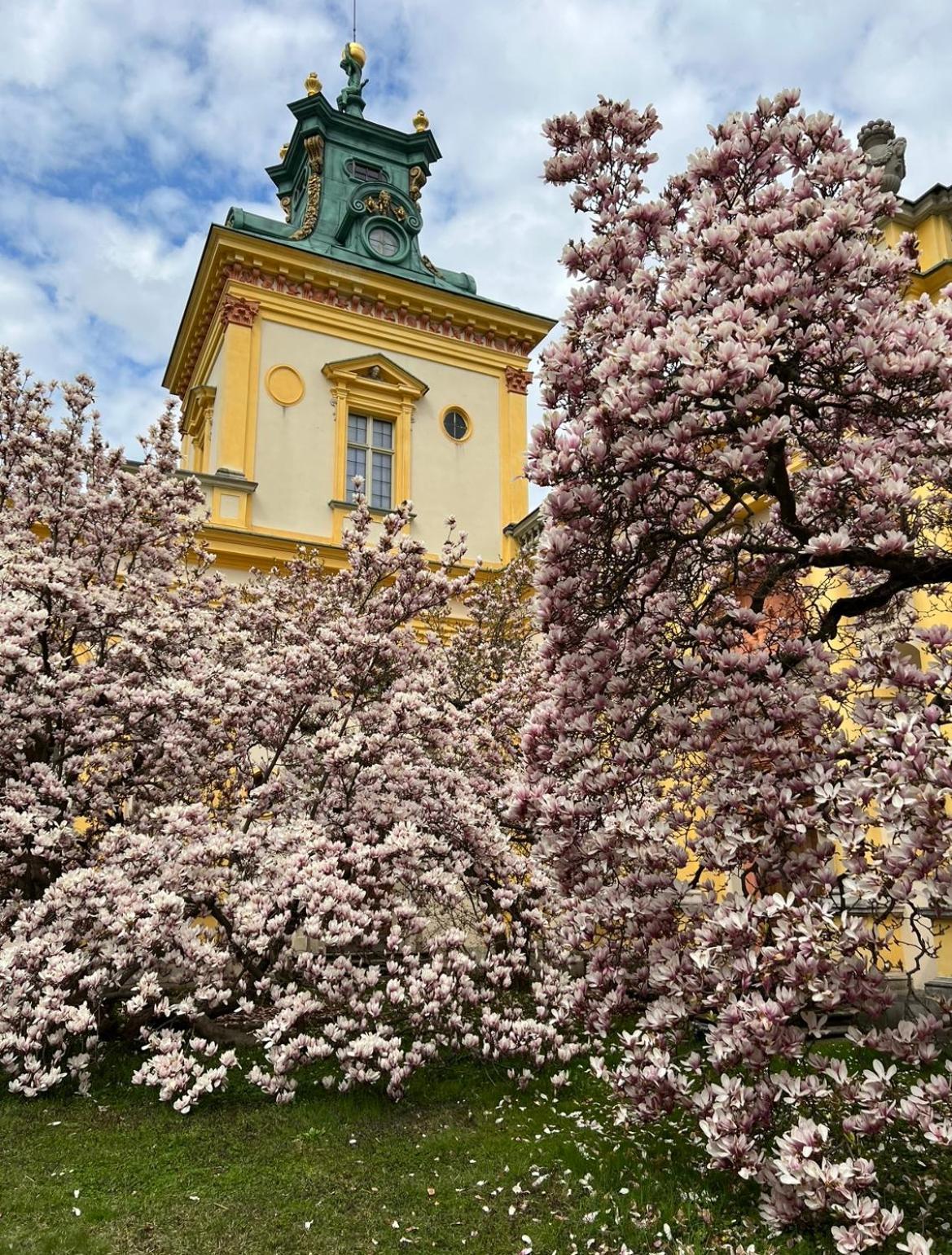 Centrum Konferencyjno-Apartamentowe Mrowka ワルシャワ エクステリア 写真